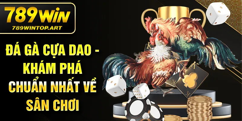 Đá gà cựa dao - Khám phá chuẩn nhất về sân chơi