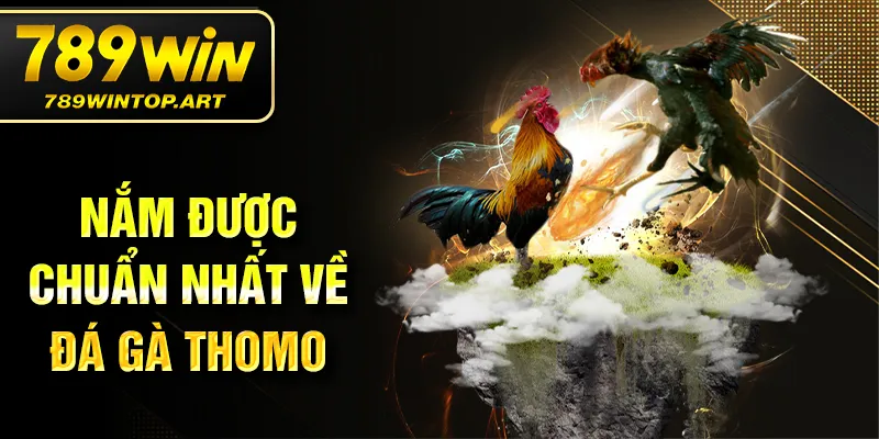 Nắm được chuẩn nhất về đá gà Thomo