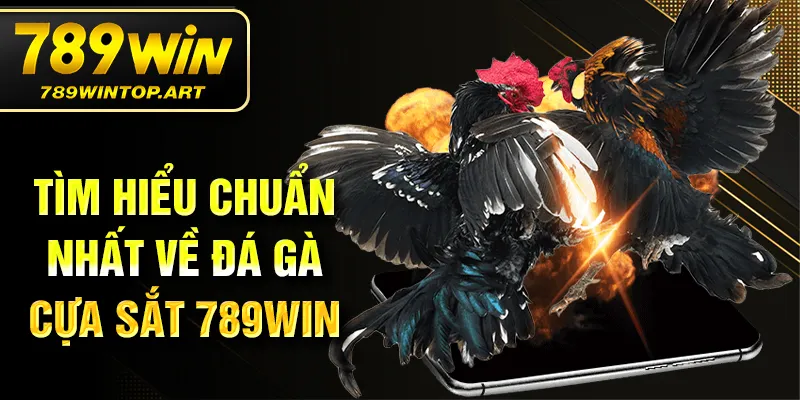 Tìm hiểu chuẩn nhất về đá gà cựa sắt 789Win