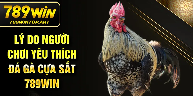 Lý do người chơi yêu thích đá gà cựa sắt 789Win