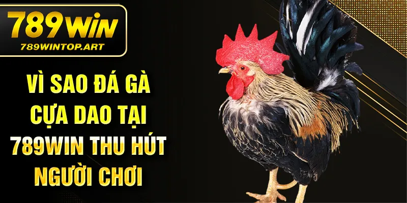 Vì sao đá gà cựa dao tại 789Win thu hút người chơi