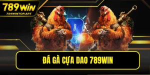 Đá Gà Cựa Dao 789WIN