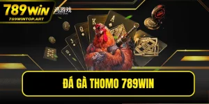Đá Gà Thomo 789WIN